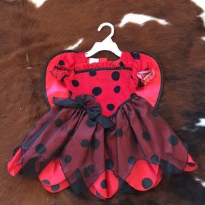 Ladybug costume